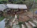 IMG_20251025_081606