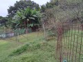 IMG_20251025_082209