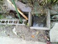 IMG_20251026_090731