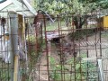IMG_20251026_090945