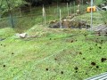 IMG_20251026_091118