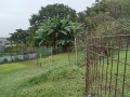 IMG_20251026_091121