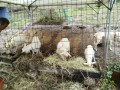 IMG_20251026_092836