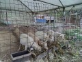 IMG_20251027_160003