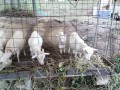 IMG_20251027_160010