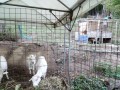 IMG_20251027_160027