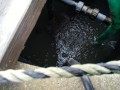 IMG_20260501_085011