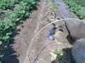 IMG_20260501_094158