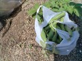 IMG_20260501_094217