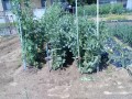 IMG_20260501_094234