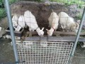 IMG_20260501_173005