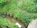 IMG_20260501_173020