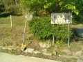 IMG_20260502_075458
