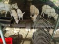 IMG_20260502_080012