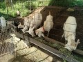 IMG_20260502_080019