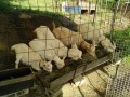 IMG_20260502_080028