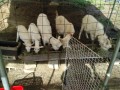 IMG_20260502_080036