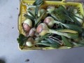 IMG_20260502_184848
