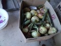 IMG_20260502_184851