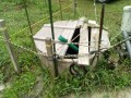 IMG_20260503_085954