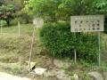 IMG_20260503_090001