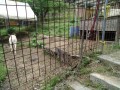 IMG_20260503_090216