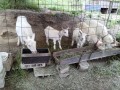 IMG_20260503_090912