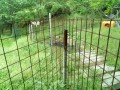 IMG_20260503_090944
