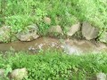 IMG_20260503_090948