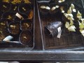 IMG_20260503_111558