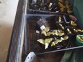 IMG_20260503_111603