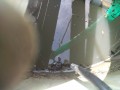 IMG_20260504_085829