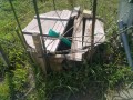 IMG_20260504_085832