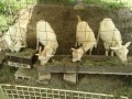 IMG_20260504_090510