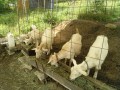 IMG_20260504_090519