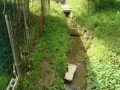 IMG_20260504_090541