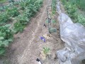 IMG_20260504_123618