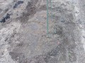 IMG_20260504_123628