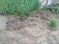 IMG_20260504_123631