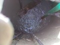 IMG_20260505_082734
