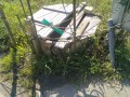 IMG_20260505_082737