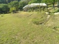 IMG_20260505_082820