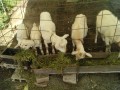 IMG_20260505_083216