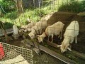IMG_20260505_083223
