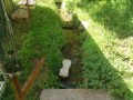 IMG_20260505_083240