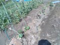 IMG_20260505_095811