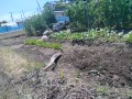 IMG_20260505_115748
