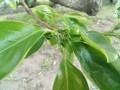 IMG_20260505_181921
