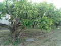 IMG_20260505_182018
