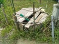 IMG_20260506_095426